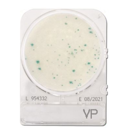 Đĩa Compact Dry Kiểm Tra Vibrio Parahaemolyticus 